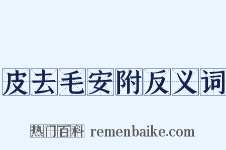 皮去毛安附反义词是什么意思的图片